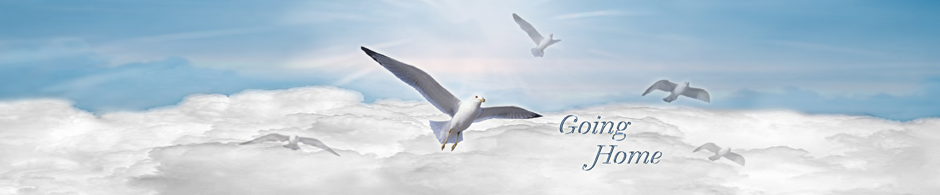 P FC 102 BL Going Home Blue Clouds FULL COUCH PRINT